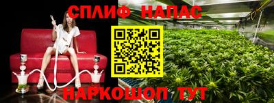 амф Будённовск