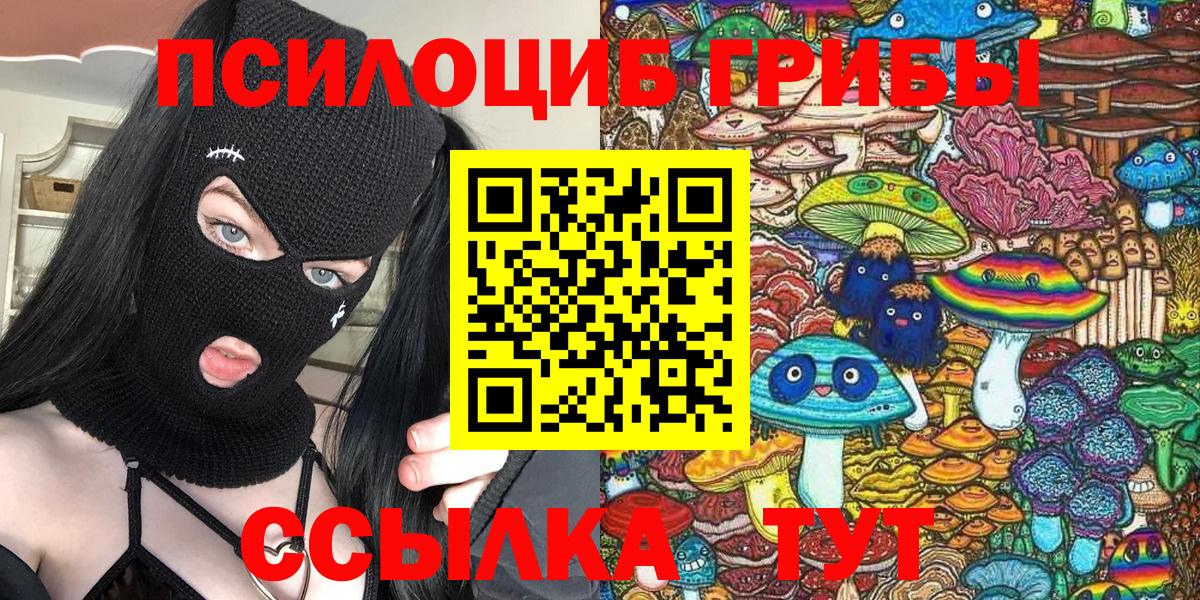 Псилоцибиновые грибы прущие грибы  где купить   Вход с VPN  Тында  Псилоцибиновые грибы ЛСД 