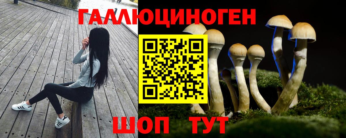 Псилоцибиновые грибы мухоморы Тында